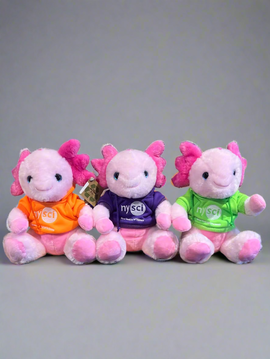 Axolotl Plushie with NYSCI Sweatshirt