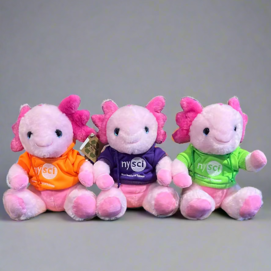 Peluche axolotl rosa