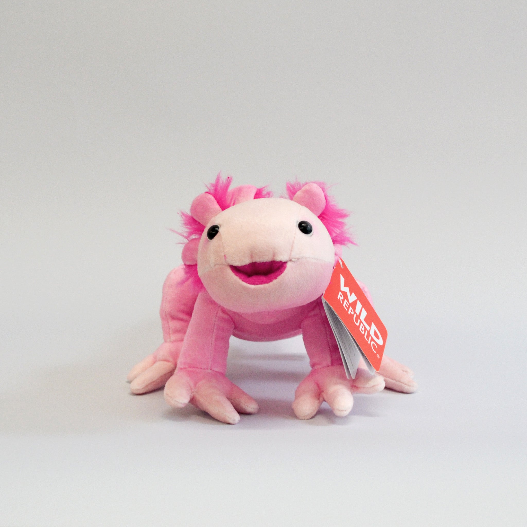 Pink axolotl smiling, front facing