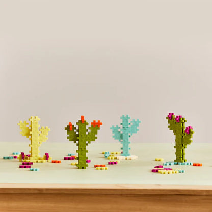 Big Plus Plus Botanica