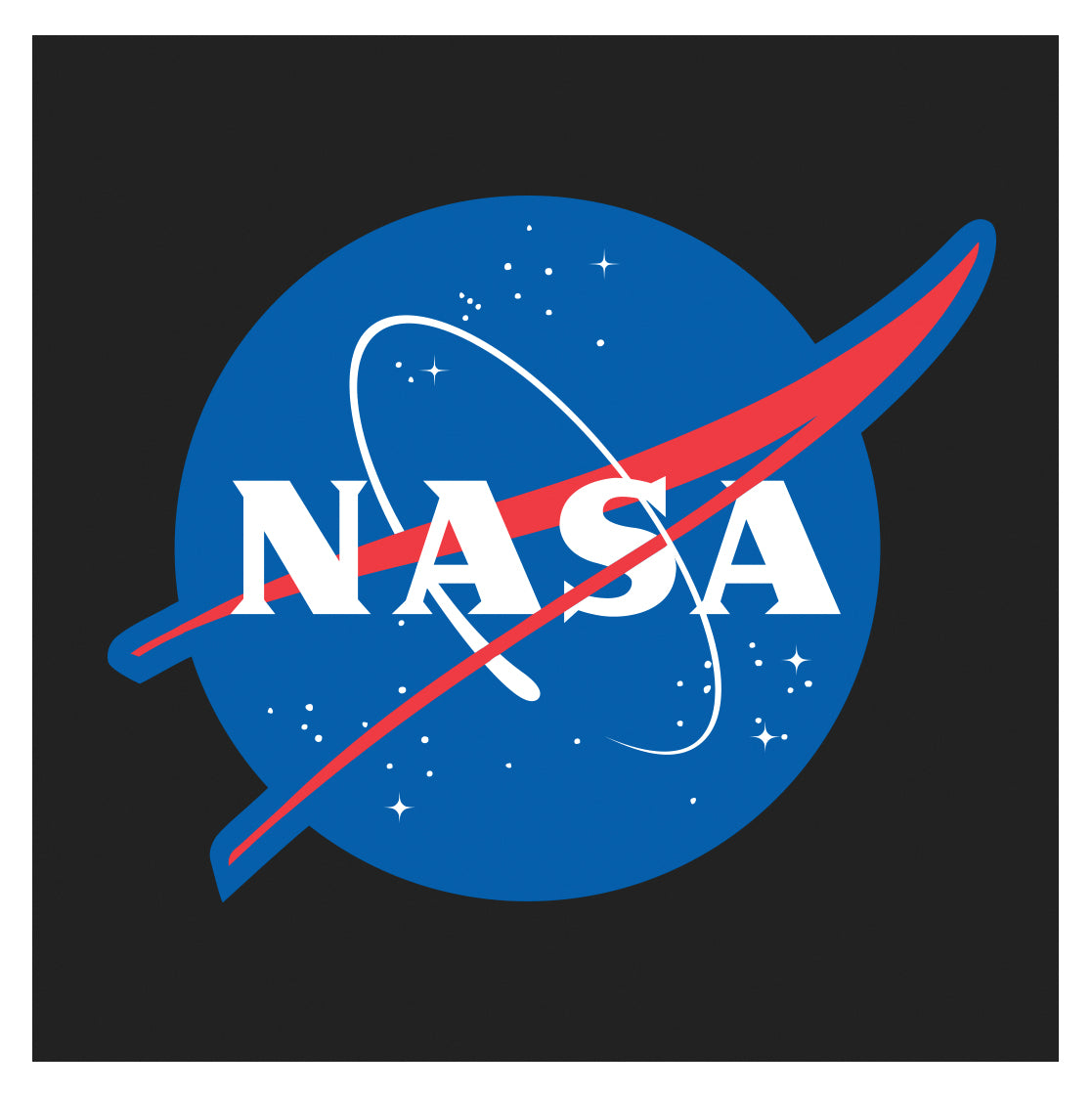 Closeup Image of the blue NASA Meatball logo