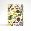 Back image of notebook with colorful pictures of minerals on a yellow background