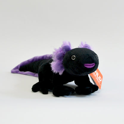 Black axolotl with purple ears and tail, front facing