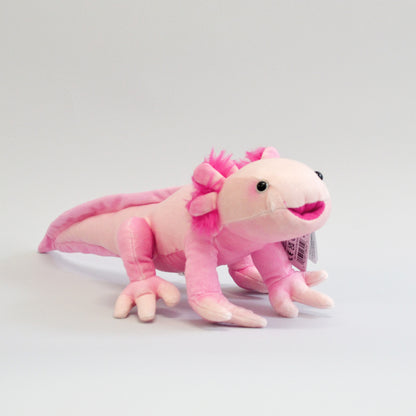 An all pink axolotl facing slightly to the right