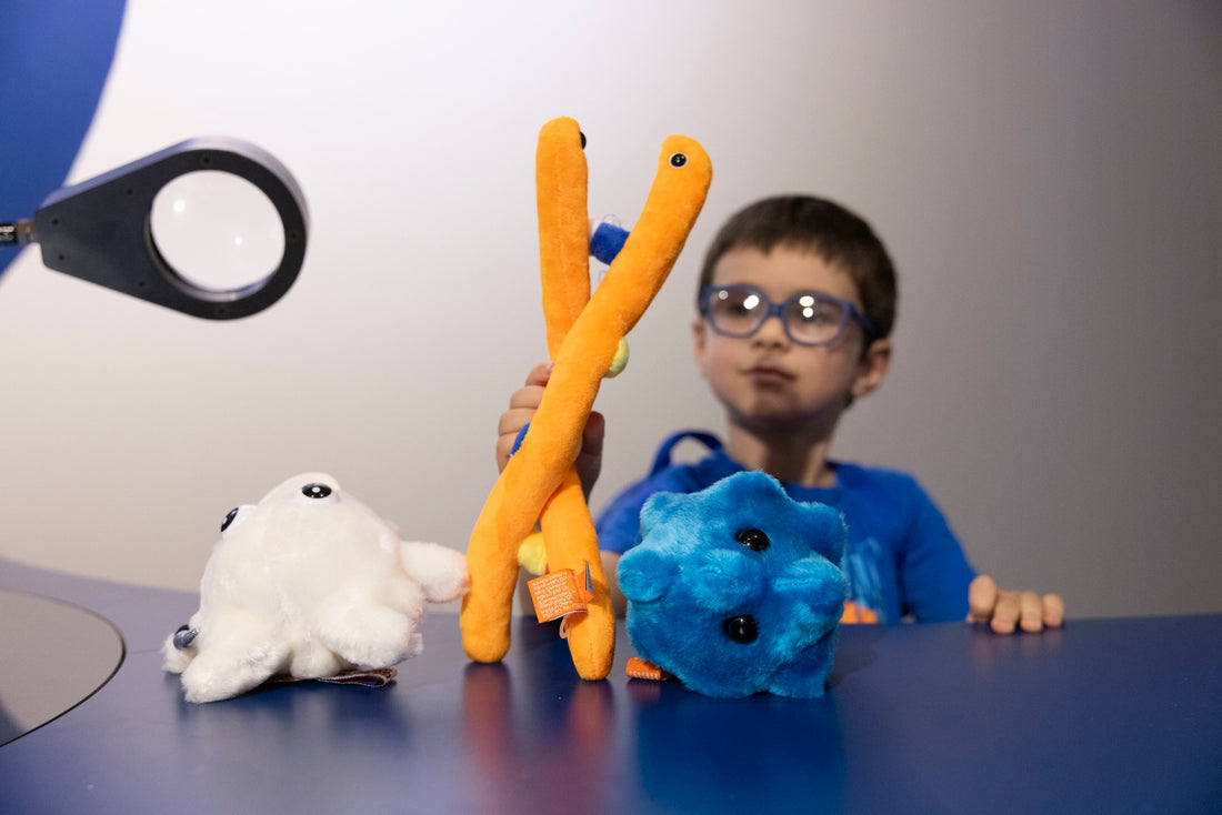 Child with Giant Microbes plush toys in front of him on a table