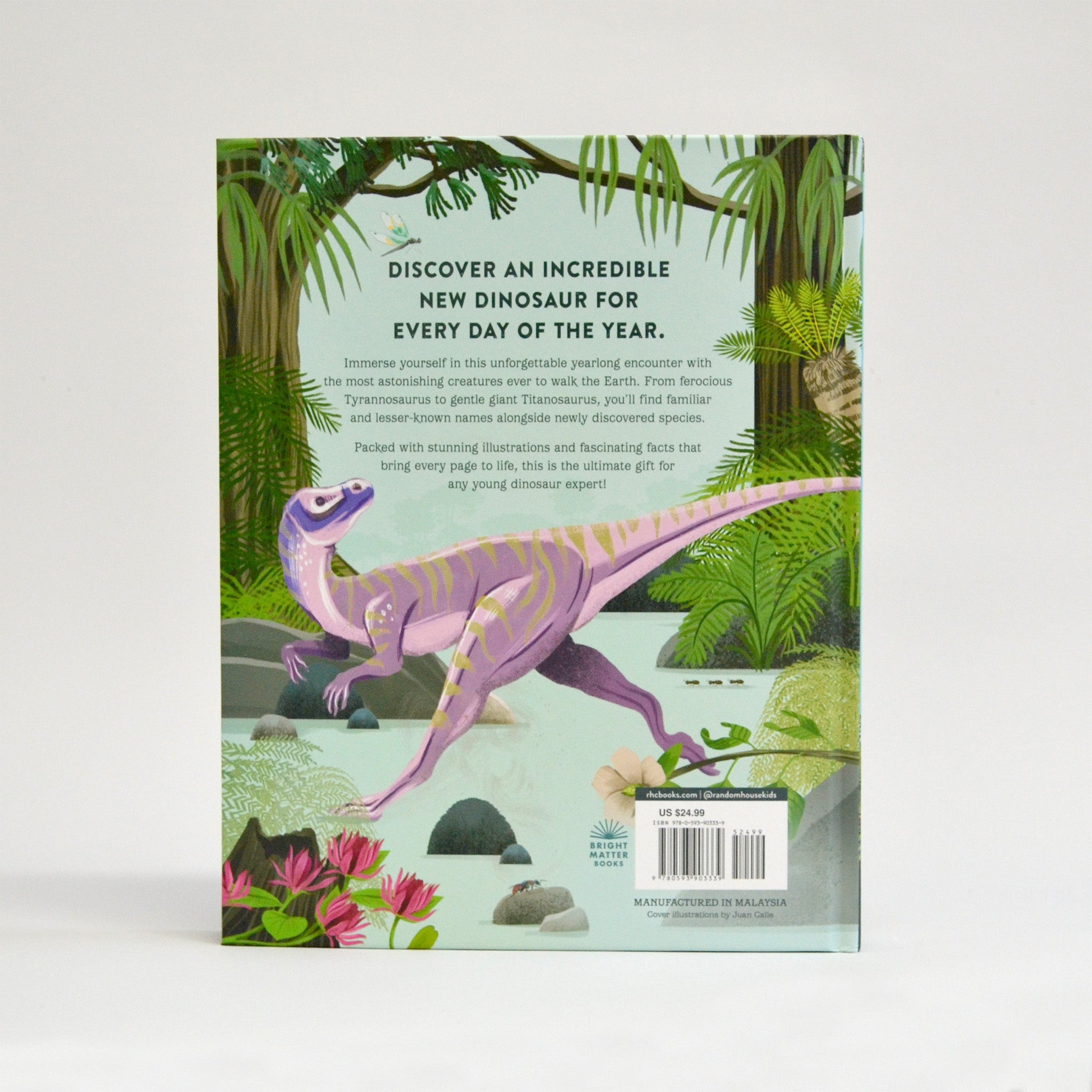 A Dinosaur A Day Book