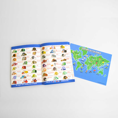 Book and world map enclosed with the Giant Microbes toy set