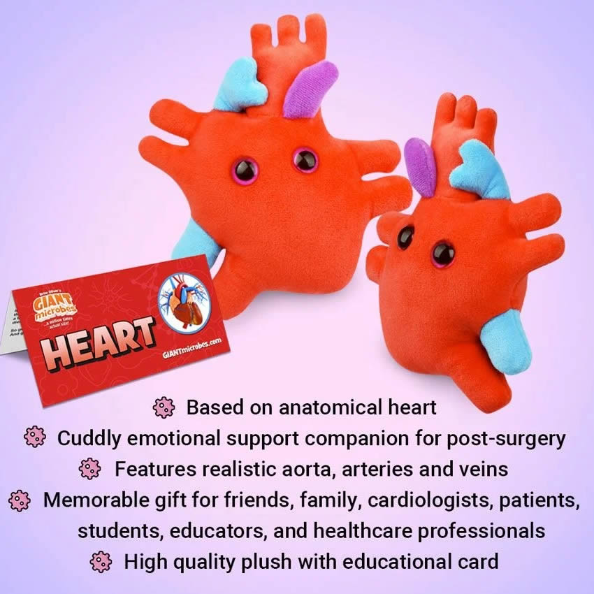 Description of Red Heart plush toy and its features